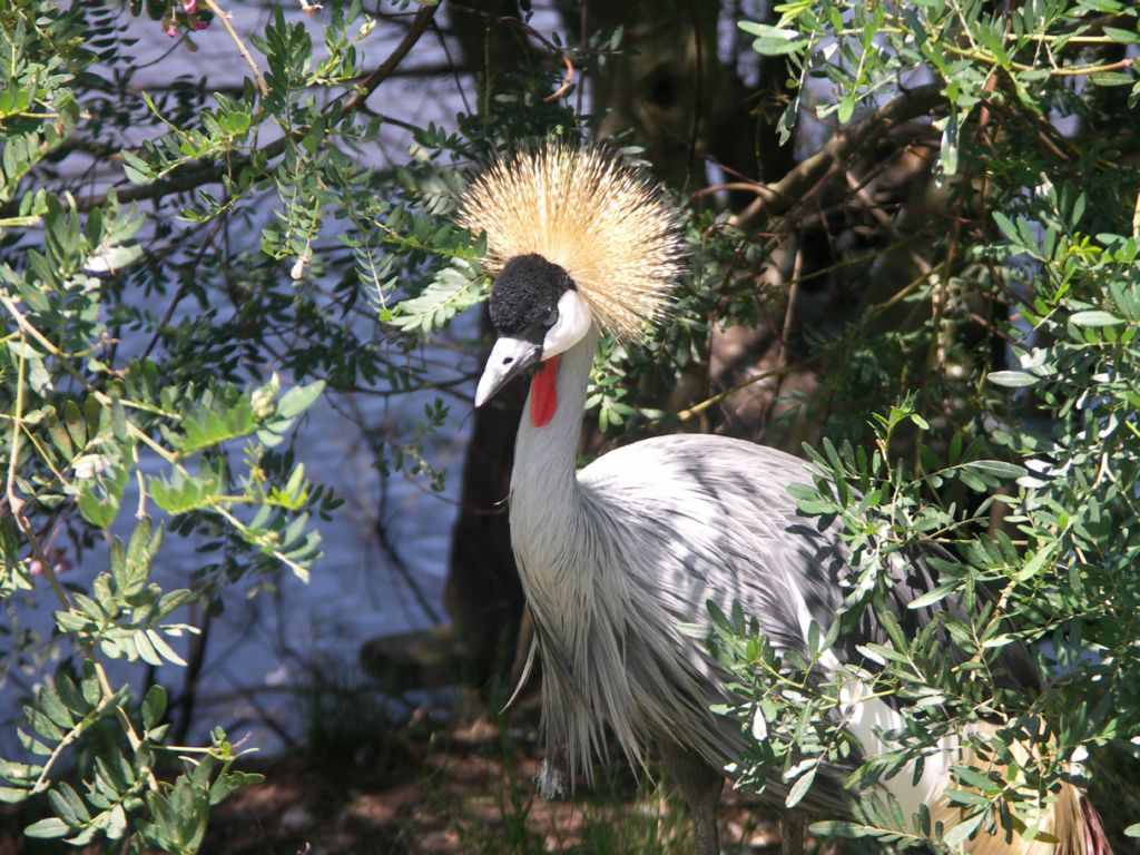 world of birds plettenbergbay